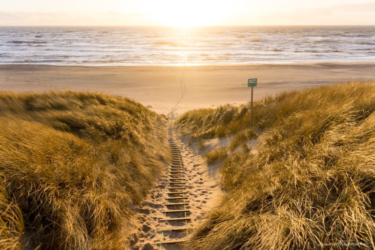 Ein wunderschönes Wandbild von Argab dank Saal-Digital › WeLoveDenmark