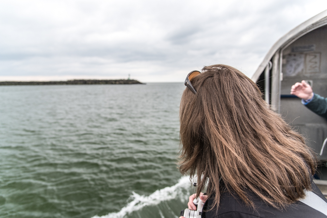 Blick in Richtung Hafenausfahrt Hvide Sande